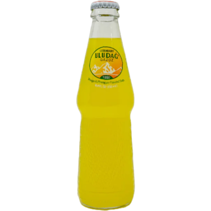 Uludag Efsane Mango-Pineapple Gazoz 250ml